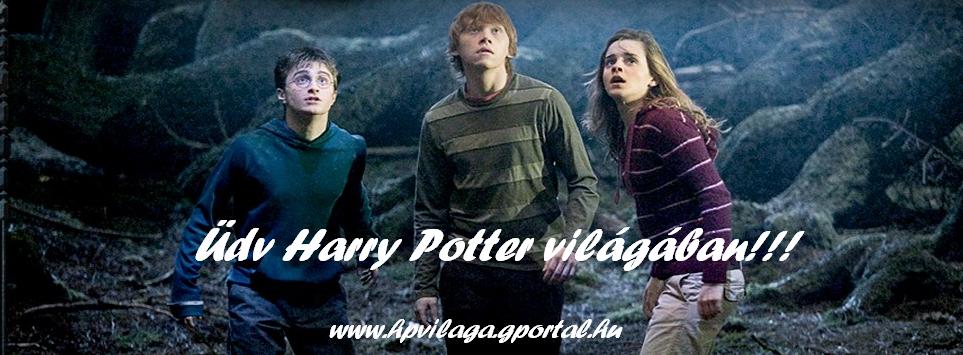 DV Harry Potter oldaln!!!